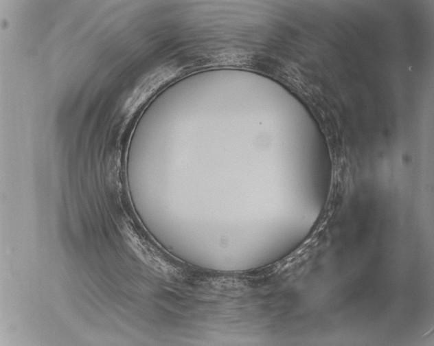 X0000057060146200509091205