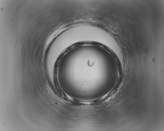 X0000057060150200509091206