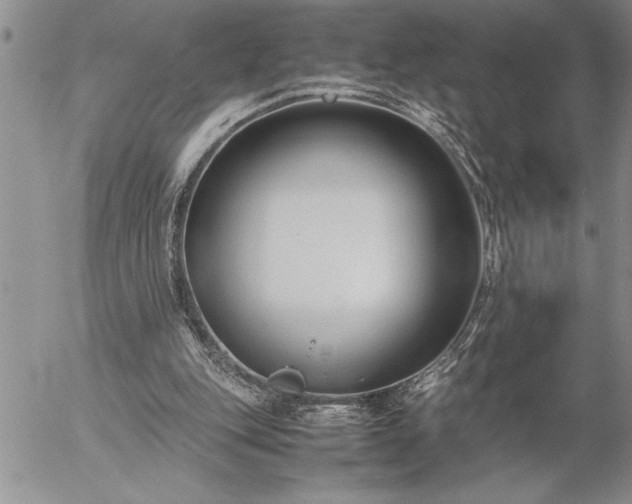 X0000057060151200509091206