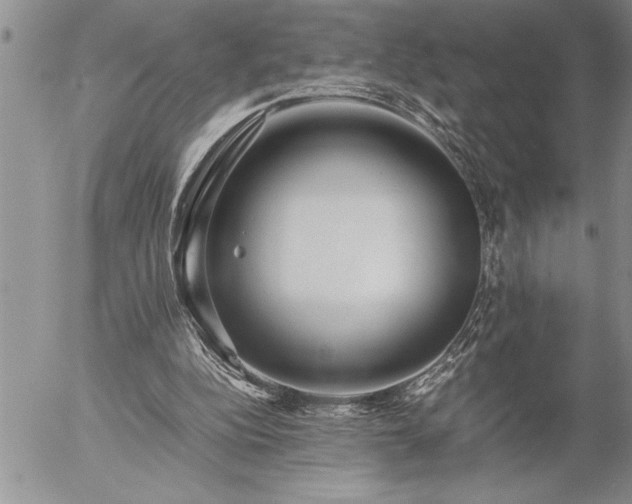 X0000057060152200509091206