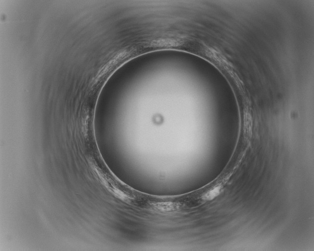 X0000057060153200509091206