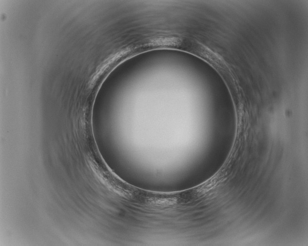 X0000057060155200509091206