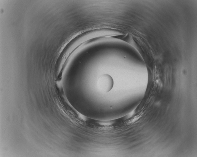 X0000057060156200509091206