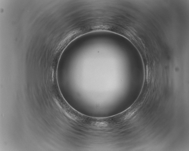 X0000057060157200509091206