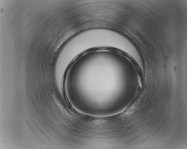 X0000057060158200509091206