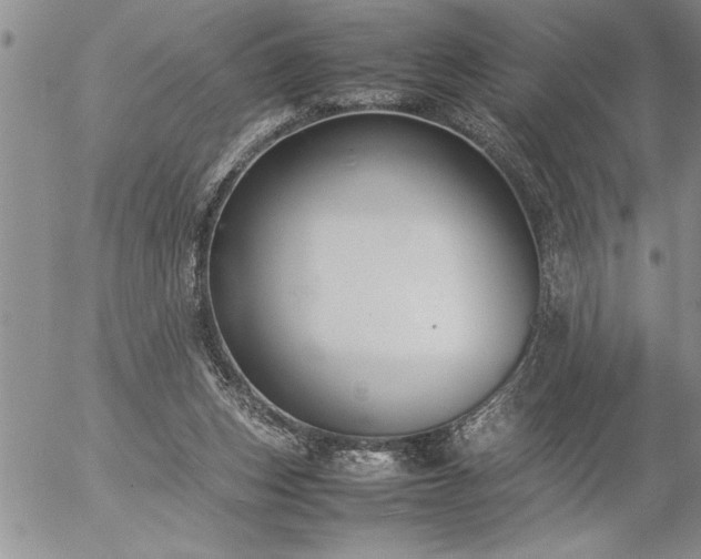 X0000057060159200509091206