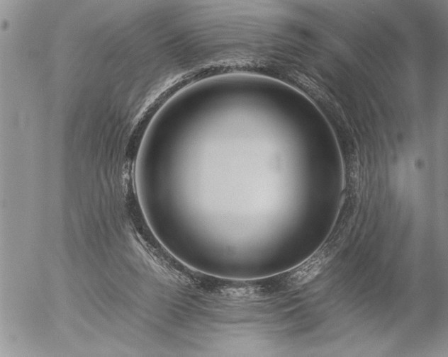 X0000057060160200509091206