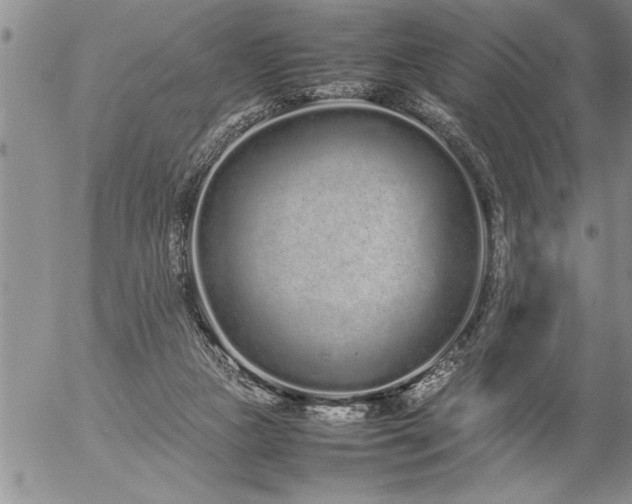 X0000057060161200509091206