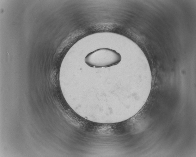 X0000057060162200509091206