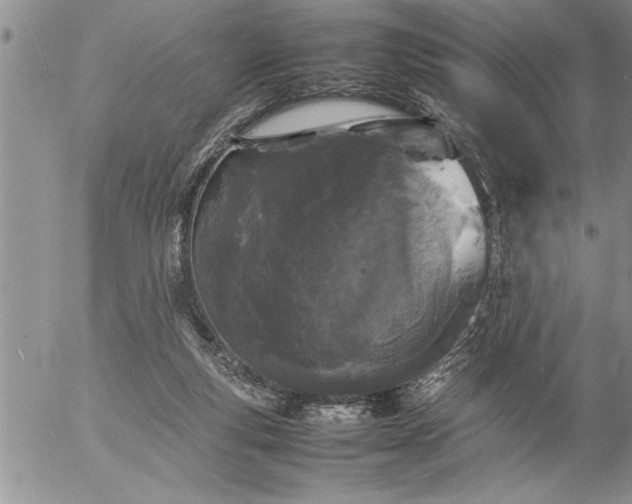 X0000057060163200509091206