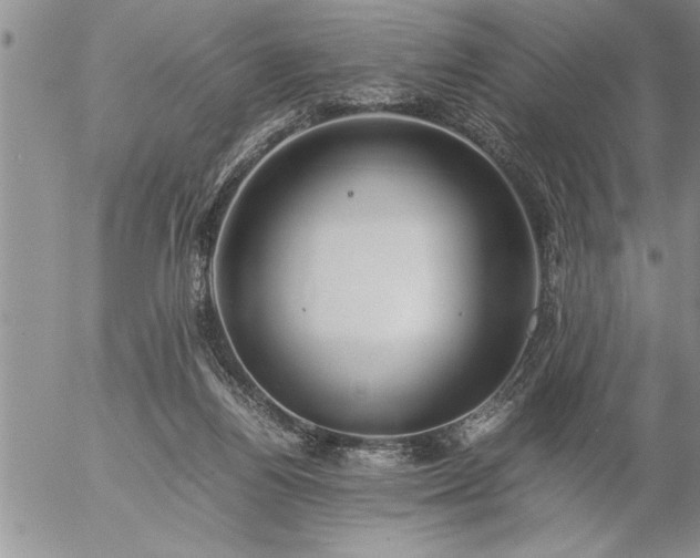 X0000057060164200509091206