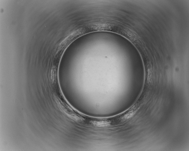 X0000057060165200509091206