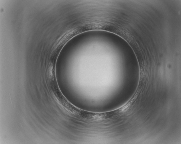 X0000057060166200509091206