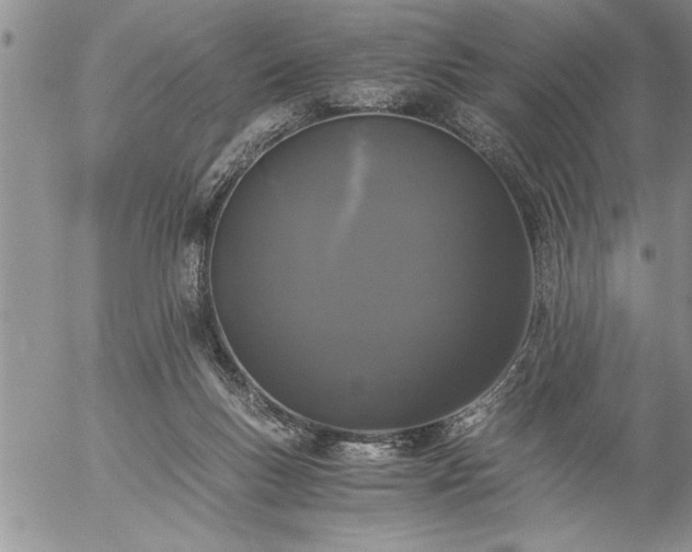 X0000057060167200509091206