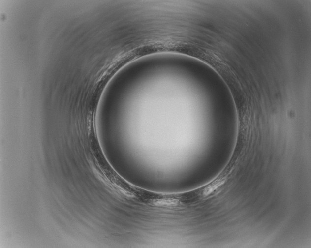 X0000057060168200509091206