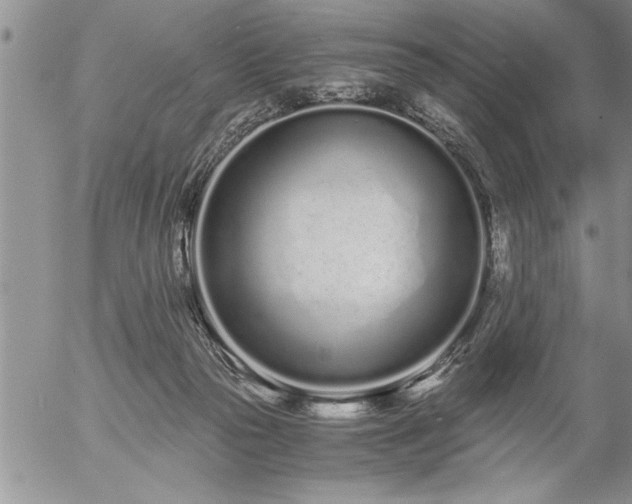 X0000057060169200509091206