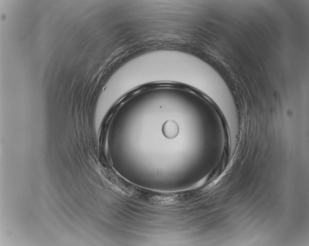 X0000057060170200509091206