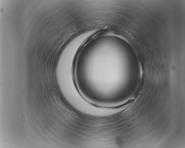 X0000057060172200509091206