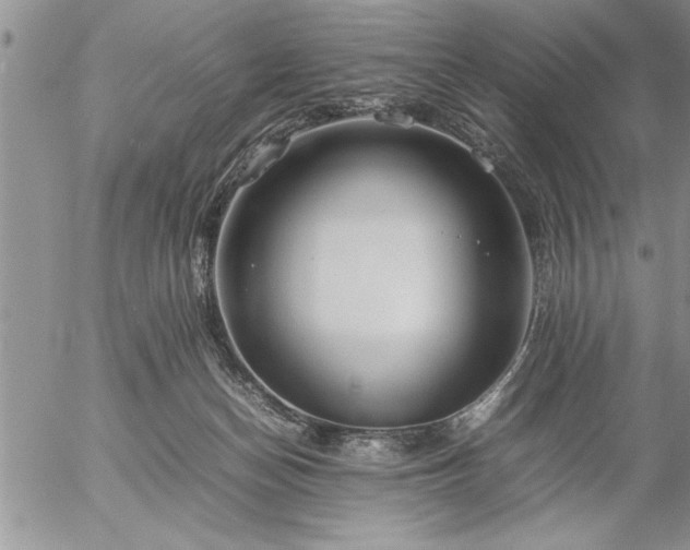 X0000057060174200509091206