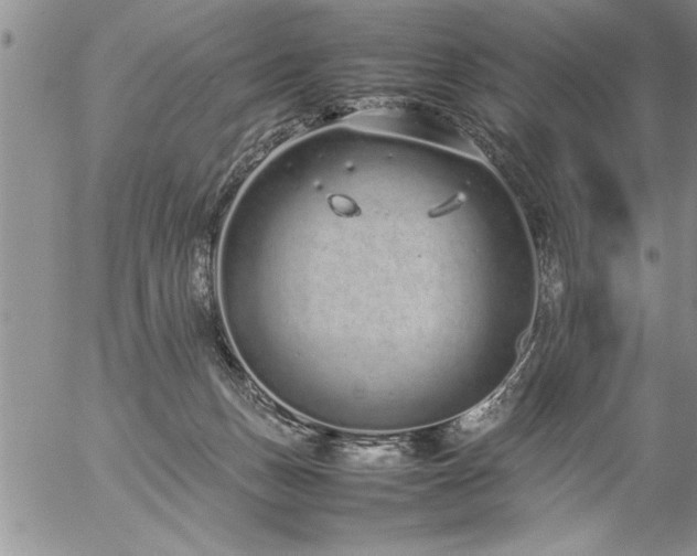 X0000057060175200509091206