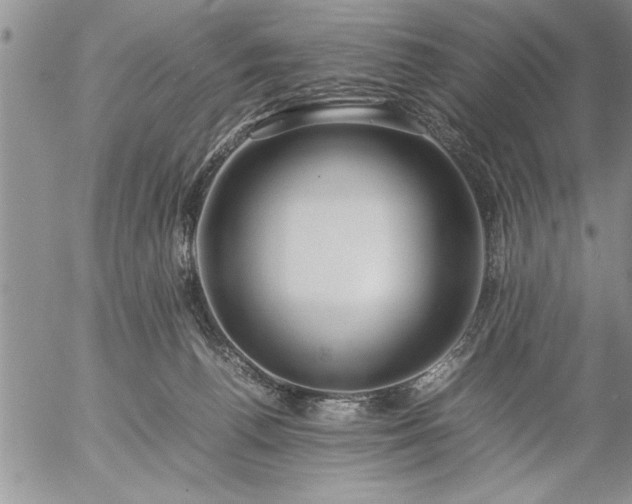 X0000057060176200509091206