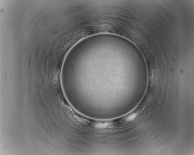 X0000057060177200509091206