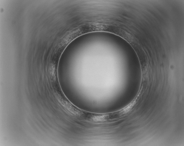 X0000057060178200509091206