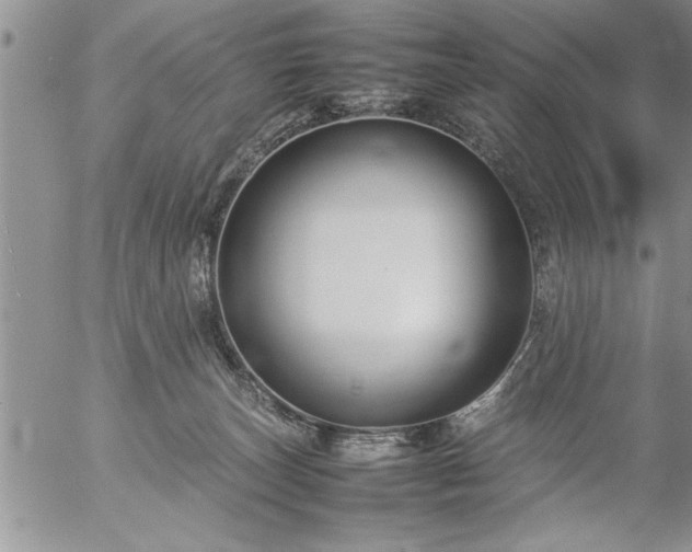 X0000057060179200509091206