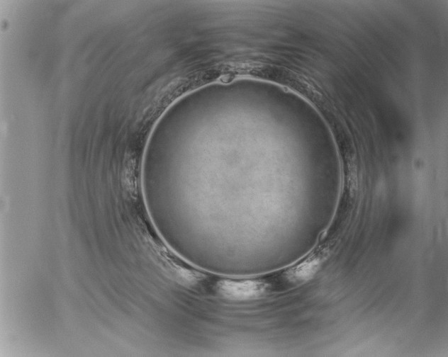 X0000057060181200509091206