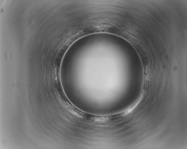 X0000057060182200509091206