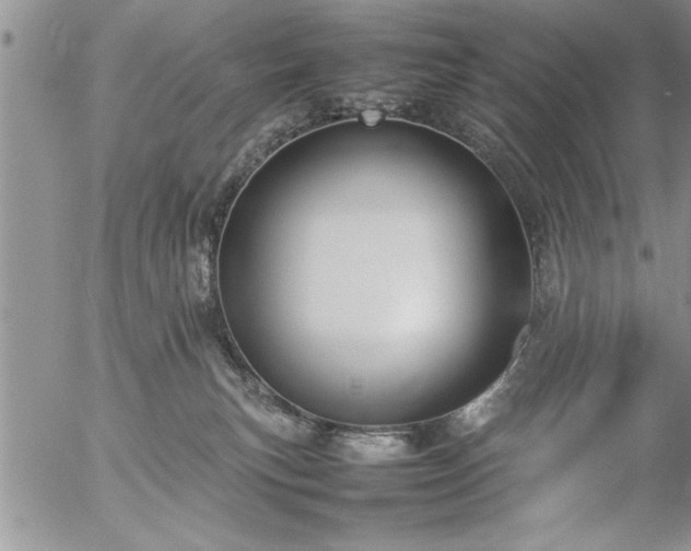 X0000057060183200509091206