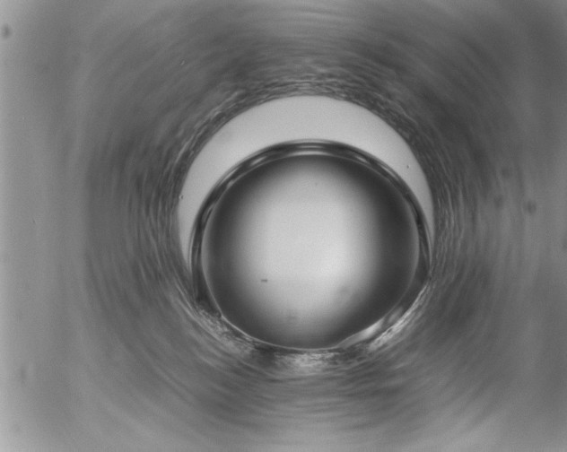 X0000057060184200509091206