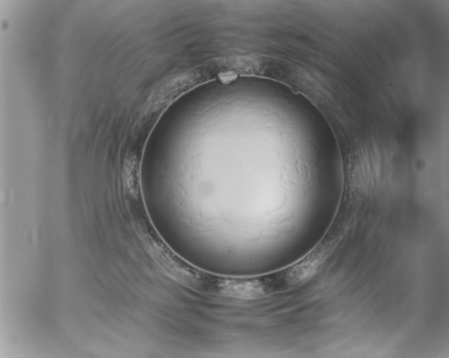 X0000057060185200509091206