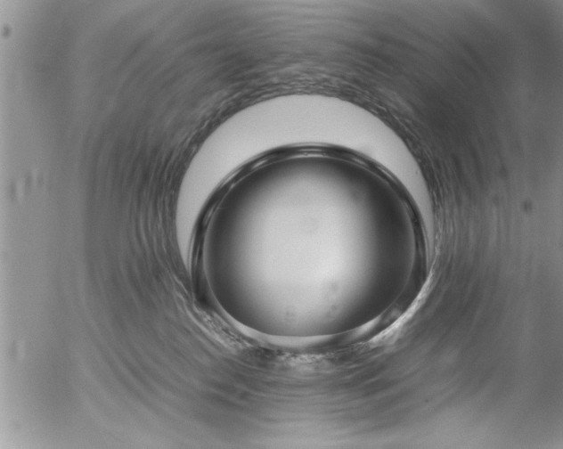 X0000057060186200509091206