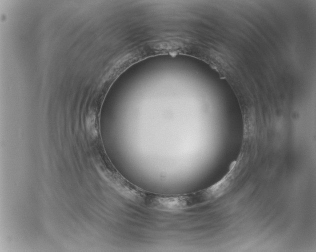 X0000057060187200509091206