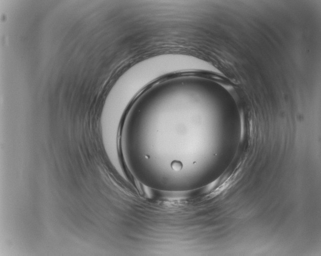 X0000057060188200509091206