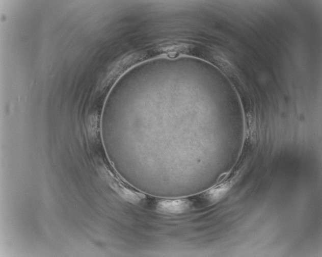 X0000057060189200509091206