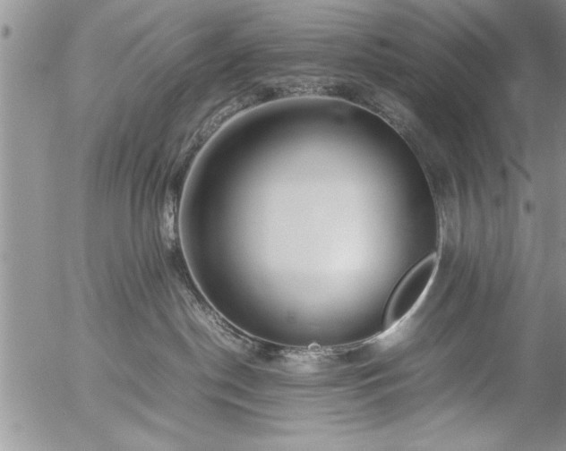 X0000057060190200509091206