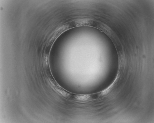 X0000057060191200509091206