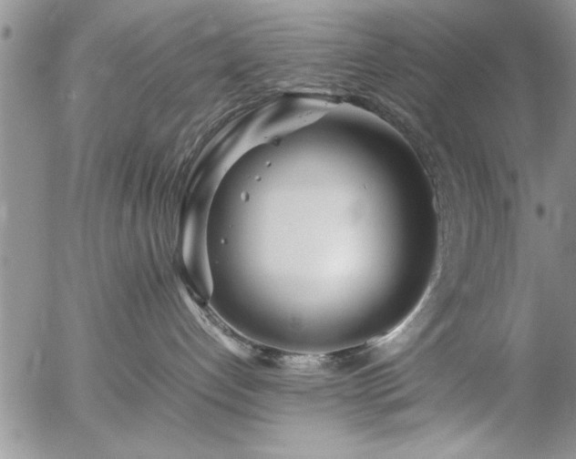 X0000057060192200509091206