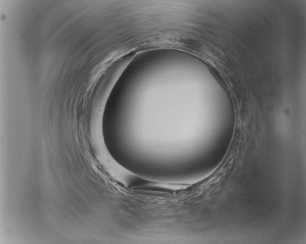 X0000057060193200509091205