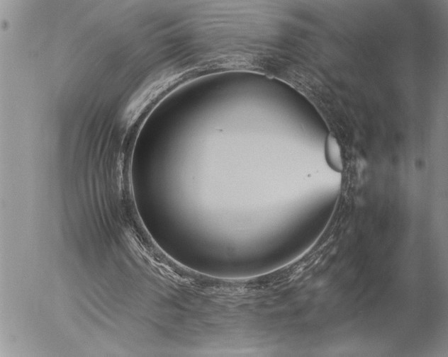 X0000057060194200509091205