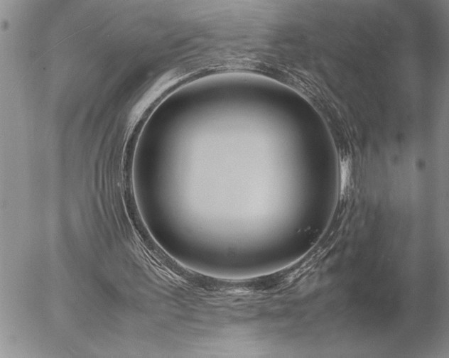 X0000057060195200509091205