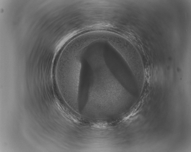 X0000057060196200509091205