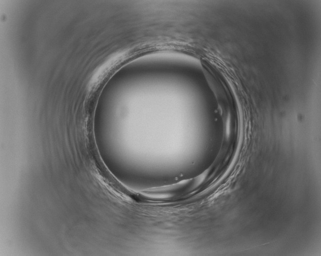 X0000057060197200509091205