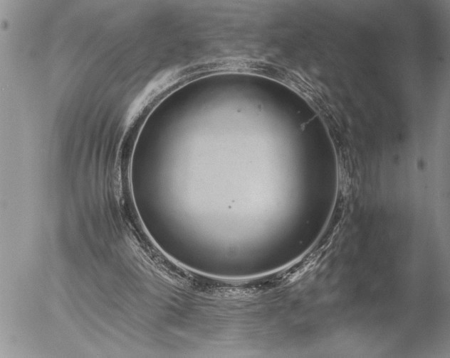 X0000057060198200509091205