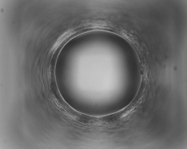 X0000057060199200509091205