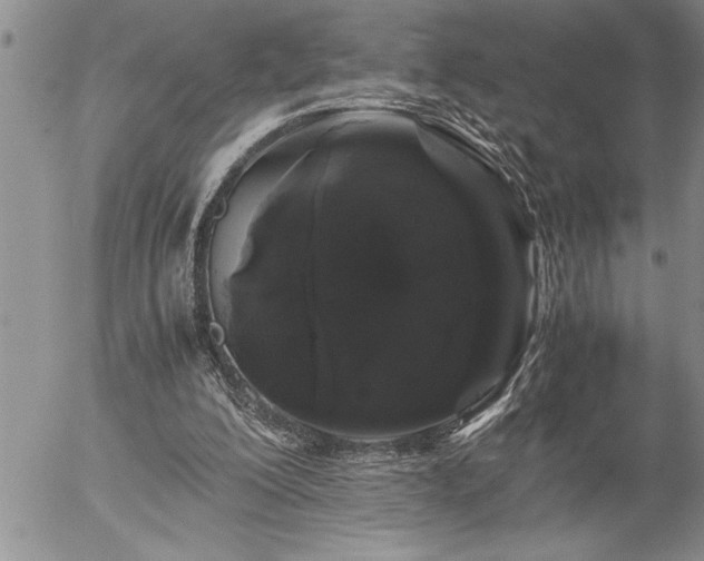 X0000057060200200509091205