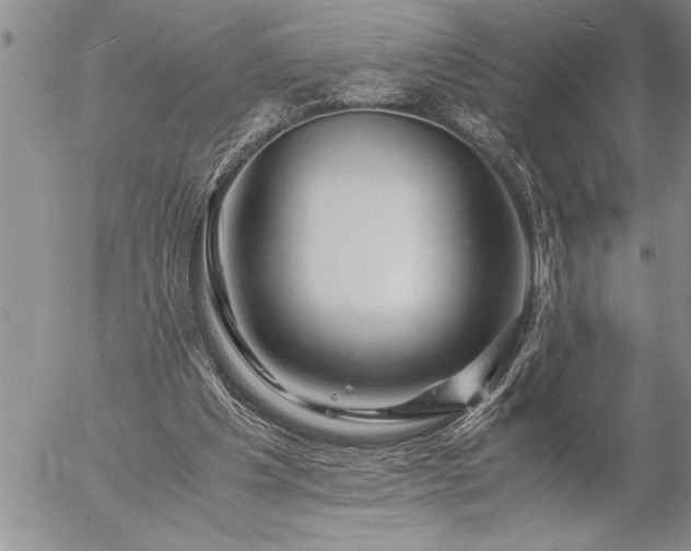 X0000057060201200509091205