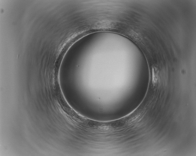 X0000057060204200509091205